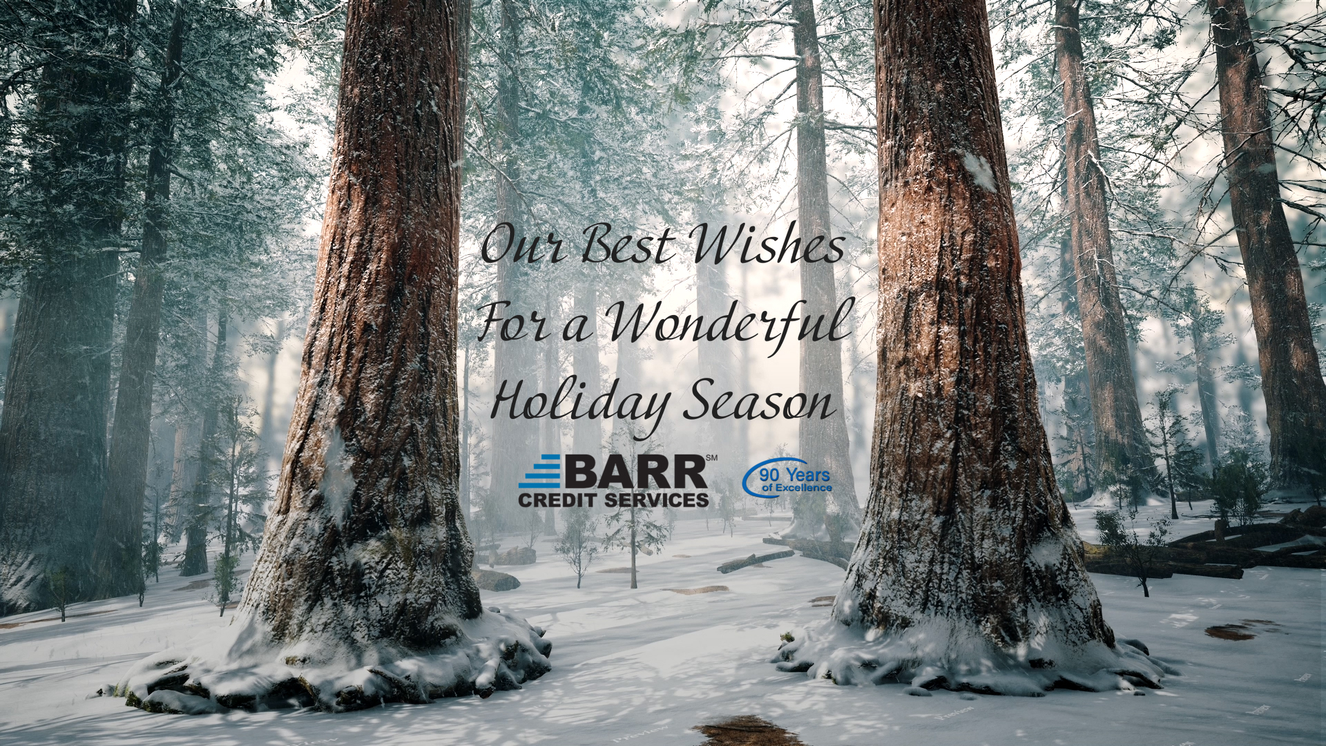 BARR Credit Services 2024 Holiday Video Cover